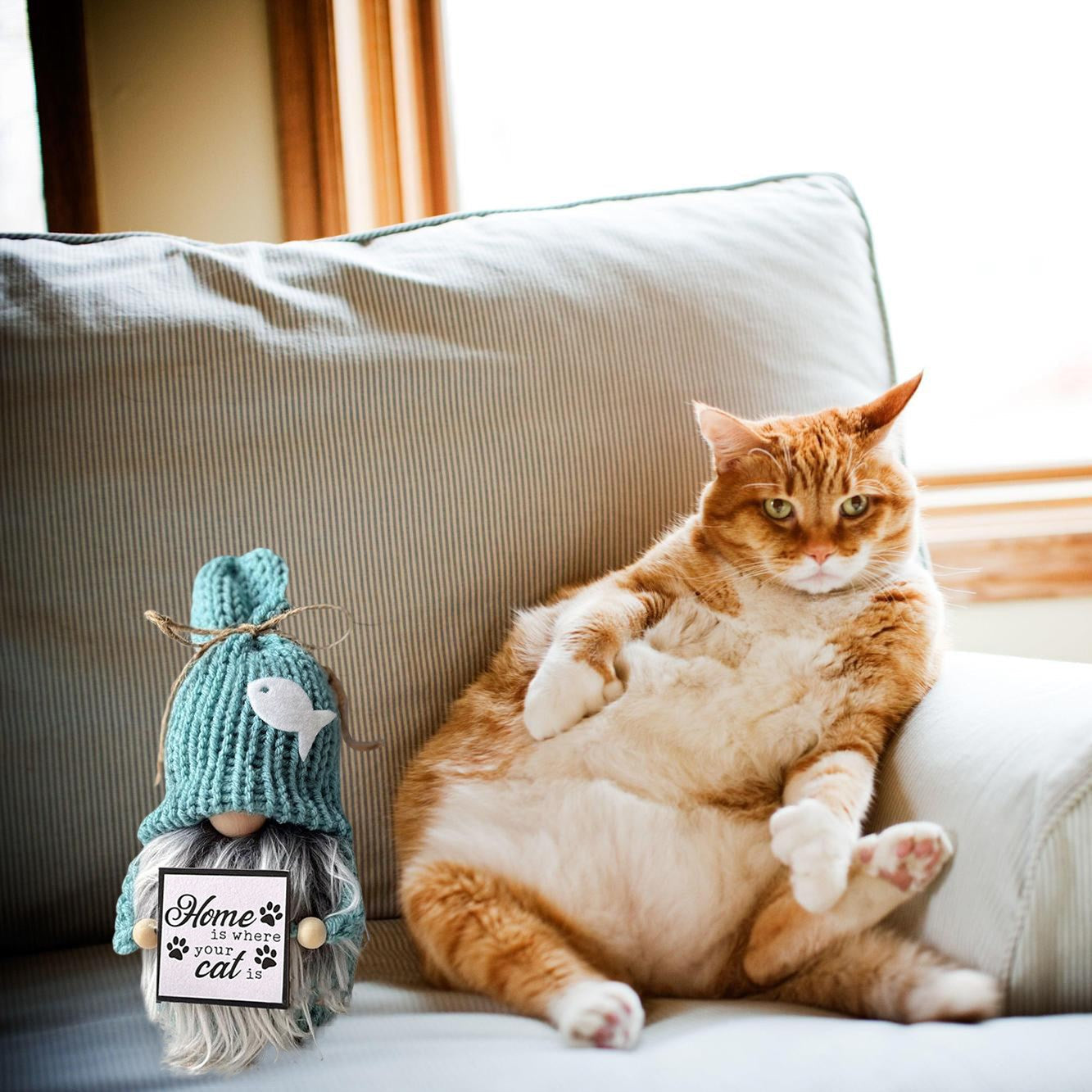 Dwarf Home Decor(For 🐶Dog Lover & 🐱Cat Lover)