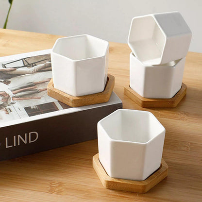 Hexagon Ceramic Succulent Planter with Bamboo Saucer