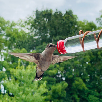 🔥Letzter Tag - 70 % Rabatt🔥Geometrischer Kolibri-Futterspender für Fenster🐦
