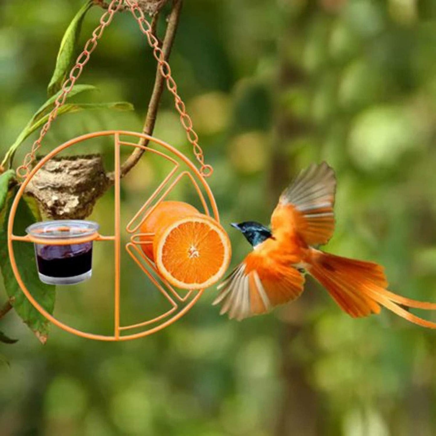 2-in-1 hanging hummingbird oriole feeder