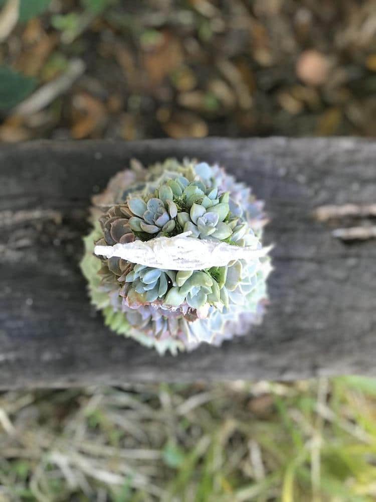 🎁Handmade Surprise Christmas gift🎄Succulent Christmas Tree